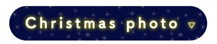 Christmasphotoバナー