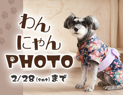 わんにゃんPHOTO